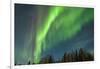 USA, Alaska. Aurora Borealis over Forest-Cathy & Gordon Illg-Framed Photographic Print