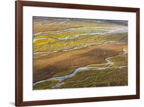 USA, Alaska, Brooks Range, Arctic NWR. Aerial of braided river and tundra.-Jaynes Gallery-Framed Premium Photographic Print