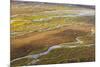 USA, Alaska, Brooks Range, Arctic NWR. Aerial of braided river and tundra.-Jaynes Gallery-Mounted Premium Photographic Print