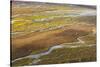 USA, Alaska, Brooks Range, Arctic NWR. Aerial of braided river and tundra.-Jaynes Gallery-Stretched Canvas