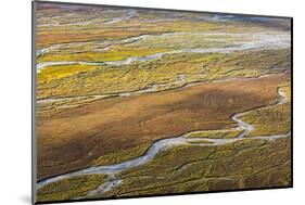 USA, Alaska, Brooks Range, Arctic NWR. Aerial of braided river and tundra.-Jaynes Gallery-Mounted Photographic Print