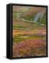 USA, Alaska, Brooks Range. Tundra and Dietrich River.-Jaynes Gallery-Framed Stretched Canvas