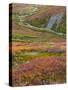 USA, Alaska, Brooks Range. Tundra and Dietrich River.-Jaynes Gallery-Stretched Canvas