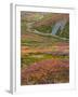 USA, Alaska, Brooks Range. Tundra and Dietrich River.-Jaynes Gallery-Framed Photographic Print