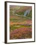 USA, Alaska, Brooks Range. Tundra and Dietrich River.-Jaynes Gallery-Framed Photographic Print