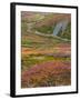 USA, Alaska, Brooks Range. Tundra and Dietrich River.-Jaynes Gallery-Framed Photographic Print