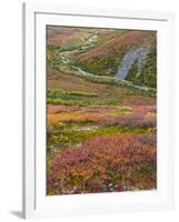 USA, Alaska, Brooks Range. Tundra and Dietrich River.-Jaynes Gallery-Framed Photographic Print