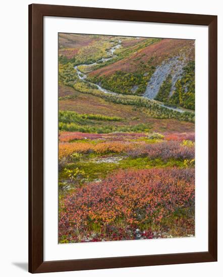 USA, Alaska, Brooks Range. Tundra and Dietrich River.-Jaynes Gallery-Framed Photographic Print