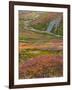USA, Alaska, Brooks Range. Tundra and Dietrich River.-Jaynes Gallery-Framed Photographic Print