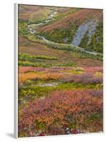 USA, Alaska, Brooks Range. Tundra and Dietrich River.-Jaynes Gallery-Framed Photographic Print