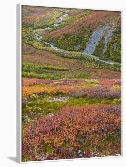 USA, Alaska, Brooks Range. Tundra and Dietrich River.-Jaynes Gallery-Framed Photographic Print