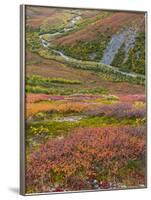 USA, Alaska, Brooks Range. Tundra and Dietrich River.-Jaynes Gallery-Framed Photographic Print