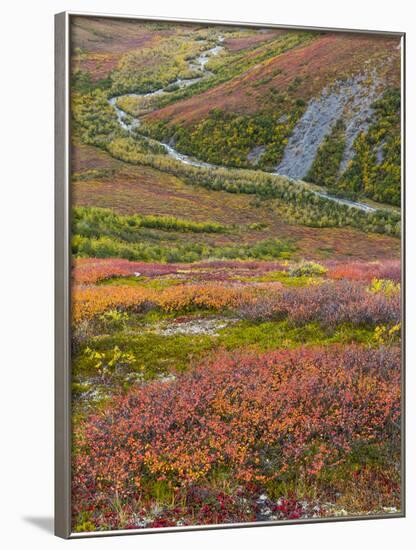 USA, Alaska, Brooks Range. Tundra and Dietrich River.-Jaynes Gallery-Framed Photographic Print