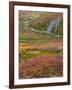 USA, Alaska, Brooks Range. Tundra and Dietrich River.-Jaynes Gallery-Framed Photographic Print