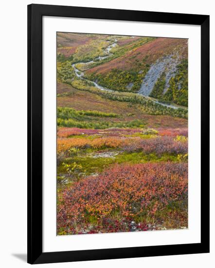 USA, Alaska, Brooks Range. Tundra and Dietrich River.-Jaynes Gallery-Framed Photographic Print