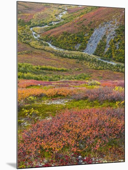 USA, Alaska, Brooks Range. Tundra and Dietrich River.-Jaynes Gallery-Mounted Photographic Print