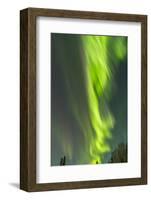 USA, Alaska, Central Alaska, Aurora, Northern Lights-Cathy & Gordon Illg-Framed Photographic Print
