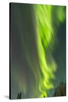 USA, Alaska, Central Alaska, Aurora, Northern Lights-Cathy & Gordon Illg-Stretched Canvas