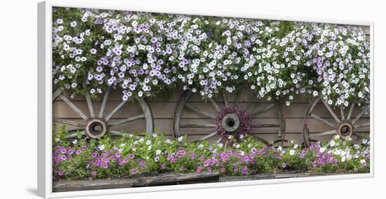 USA, Alaska, Chena Hot Springs. Flowers and wagon wheels.-Jaynes Gallery-Framed Photographic Print