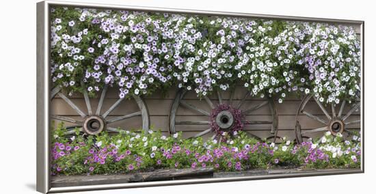 USA, Alaska, Chena Hot Springs. Flowers and wagon wheels.-Jaynes Gallery-Framed Photographic Print