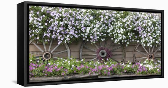 USA, Alaska, Chena Hot Springs. Flowers and wagon wheels.-Jaynes Gallery-Framed Stretched Canvas