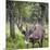 USA, Alaska, Chena Hot Springs of caribou.-Jaynes Gallery-Mounted Photographic Print