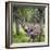 USA, Alaska, Chena Hot Springs of caribou.-Jaynes Gallery-Framed Photographic Print