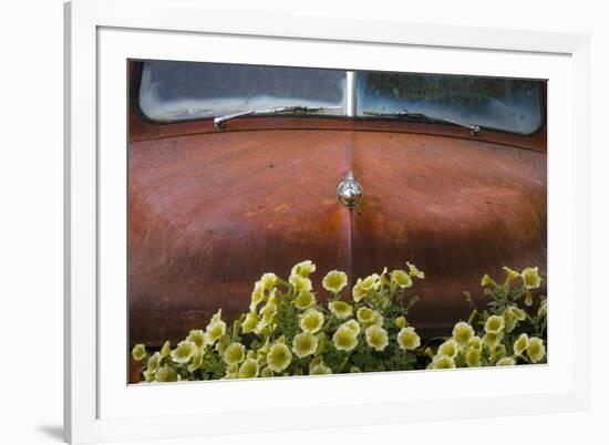 USA, Alaska, Chena Hot Springs. Old truck and flowers.-Jaynes Gallery-Framed Photographic Print