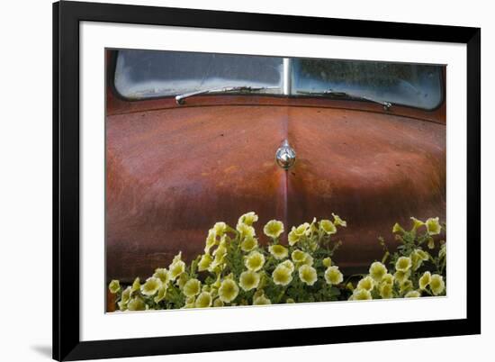 USA, Alaska, Chena Hot Springs. Old truck and flowers.-Jaynes Gallery-Framed Photographic Print