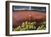 USA, Alaska, Chena Hot Springs. Old truck and flowers.-Jaynes Gallery-Framed Photographic Print