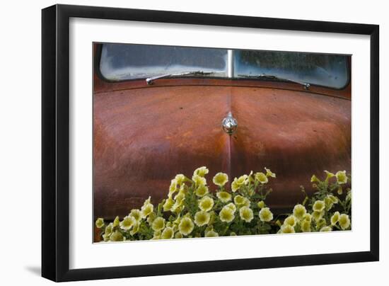 USA, Alaska, Chena Hot Springs. Old truck and flowers.-Jaynes Gallery-Framed Photographic Print