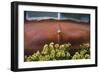 USA, Alaska, Chena Hot Springs. Old truck and flowers.-Jaynes Gallery-Framed Photographic Print