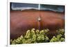 USA, Alaska, Chena Hot Springs. Old truck and flowers.-Jaynes Gallery-Framed Photographic Print