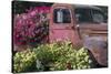 USA, Alaska, Chena Hot Springs. Old truck and flowers.-Jaynes Gallery-Stretched Canvas