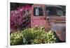 USA, Alaska, Chena Hot Springs. Old truck and flowers.-Jaynes Gallery-Framed Photographic Print