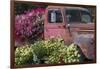 USA, Alaska, Chena Hot Springs. Old truck and flowers.-Jaynes Gallery-Framed Photographic Print