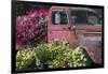 USA, Alaska, Chena Hot Springs. Old truck and flowers.-Jaynes Gallery-Framed Photographic Print