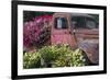 USA, Alaska, Chena Hot Springs. Old truck and flowers.-Jaynes Gallery-Framed Photographic Print