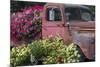 USA, Alaska, Chena Hot Springs. Old truck and flowers.-Jaynes Gallery-Mounted Photographic Print