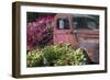 USA, Alaska, Chena Hot Springs. Old truck and flowers.-Jaynes Gallery-Framed Photographic Print