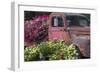 USA, Alaska, Chena Hot Springs. Old truck and flowers.-Jaynes Gallery-Framed Photographic Print