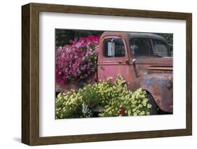 USA, Alaska, Chena Hot Springs. Old truck and flowers.-Jaynes Gallery-Framed Photographic Print