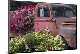 USA, Alaska, Chena Hot Springs. Old truck and flowers.-Jaynes Gallery-Mounted Photographic Print