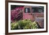 USA, Alaska, Chena Hot Springs. Old truck and flowers.-Jaynes Gallery-Framed Photographic Print