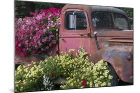 USA, Alaska, Chena Hot Springs. Old truck and flowers.-Jaynes Gallery-Mounted Photographic Print