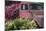 USA, Alaska, Chena Hot Springs. Old truck and flowers.-Jaynes Gallery-Mounted Photographic Print