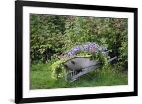 USA, Alaska, Chena Hot Springs. Old wheelbarrow with flowers.-Jaynes Gallery-Framed Premium Photographic Print