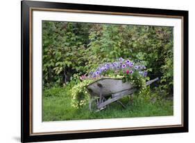 USA, Alaska, Chena Hot Springs. Old wheelbarrow with flowers.-Jaynes Gallery-Framed Premium Photographic Print