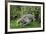 USA, Alaska, Chena Hot Springs. Old wheelbarrow with flowers.-Jaynes Gallery-Framed Premium Photographic Print