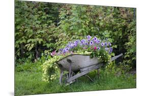 USA, Alaska, Chena Hot Springs. Old wheelbarrow with flowers.-Jaynes Gallery-Mounted Premium Photographic Print